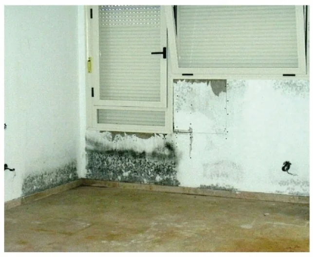 Interior de vivienda con dos ventanas de aluminio y persiana: bajo ellas, la parte baja de la pared tiene manchas de humedad, moho y pintura deteriorada.